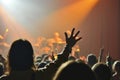 Crowd of Concertgoers Raising Hands in Excitement, An energetic scene from a summer music concert with a high-spirited crowd, AI Royalty Free Stock Photo