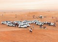 Crowd in the desert