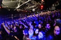 Crowd at the discotheque Royalty Free Stock Photo