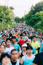 Crowd and diversity of people, men and women in the morning are running mini, half and marathon in the park Royalty Free Stock Photo