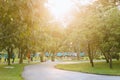 Crowd and diversity of people, men and women are running in the park with morning sunlight