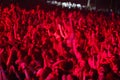 Crowd enjoying concert on Exit festival