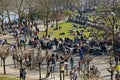 Crowd enjoying sunny weather on Rhine Promenade