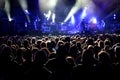 Crowd (fans) watching a concert at Heineken Primavera Sound 2014 Festival