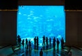 Crowd gathered around large aquarium Royalty Free Stock Photo