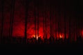 Crowd of hungry zombies in the woods Royalty Free Stock Photo