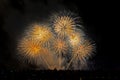 Crowd looks holiday fireworks in dark evening sky