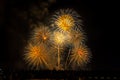 Crowd looks holiday fireworks in dark evening sky