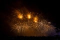 Crowd looks holiday fireworks in dark evening sky