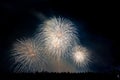 Crowd looks holiday fireworks in dark evening sky