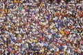 Crowd of multi-cultural people at Rose-Bowl