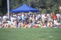 Crowd observing Canine Frisbee Contest
