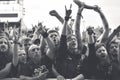 Crowd at an outdoor concert