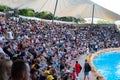 Crowd of people, audience of Dolphin show at Loro Parque in Tenerife Royalty Free Stock Photo