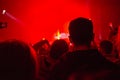 A crowd of people at the concert have fun and dance to the music at the concert. Red light in the background. Rear view. The Royalty Free Stock Photo