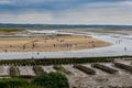 crowd of people harvesting shells