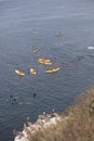 Crowd of People Paddle Boating with On Lookers