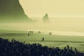 A crowd of people in silhouette walking a misty beach 2