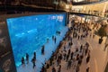 Crowd of people watching fish in aquarium in Dubai Mall, the world`s largest shopping mall in Dubai, United Arab Emirates or UAE. Royalty Free Stock Photo