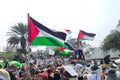 Crowd of people waving Palestinian flag in a demonstration