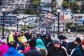 A crowd of people at White Rock looking at the natural phenomena of thousands of dead anchovies being eaten by wildlife. Royalty Free Stock Photo