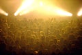 Crowd at punk concert Royalty Free Stock Photo
