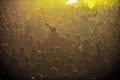 Crowd at punk concert Royalty Free Stock Photo