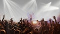 crowd with raised hands at concert festival banner Royalty Free Stock Photo
