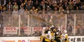 Crowd reaction to Bruins - Penguins NHL fight Royalty Free Stock Photo