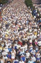 Crowd of Runners in marathon from above Royalty Free Stock Photo