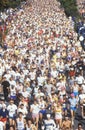Crowd of Runners in marathon from above, Washington, D.C. Royalty Free Stock Photo