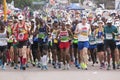 Crowd of Runners Participating in Comrades Marathon Royalty Free Stock Photo