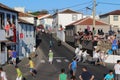 A crowd scatters as a bull charges