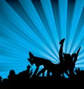 Crowd surf Royalty Free Stock Photo