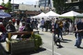 Crowd at the the 50th Annual University District Street Fair