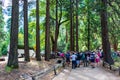 Crowd of tourists and visitors wait for their turn to cross the busy road in Yosemite Valley during peak season Royalty Free Stock Photo