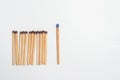 A crowd of twelve brown- headed matches stand in front of a long blue head