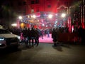 Crowd waiting for celebrities on the red carpet during Berlinale 2018