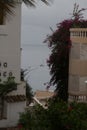 Crowded Beach at mallorca