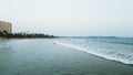 Surfing enthusiasts catch waves at golden hour. Crowded beach scene with learners, pros navigating swells. Popular