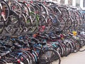 Crowded bicycle storage for commuters at Leiden