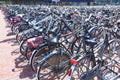 Crowded Bicycles Parking at Den Haag Centraal