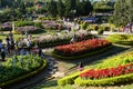 Crowded, Dalat flower park, festival, spring, tourist