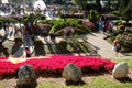 Crowded, Dalat flower park, festival, spring, tourist