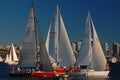 Crowded day at sailboat races Royalty Free Stock Photo