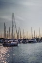 Crowded masts and sailing boats in Point Roberts marina