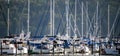 Crowded moorage in Semiahmoo Bay