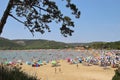 The crowded Paradise beach in summer, in the town and resort Lopar, Rab island, Croatia. Royalty Free Stock Photo