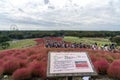 Crowded people going to the Miharashi Hill to see the red kochia bushes in the Hitachi Seaside Park. Kochia Carnival.