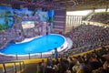 Crowded people in marine life show stage